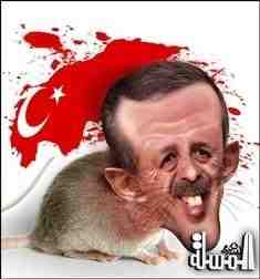 الفار التركى ارودجان