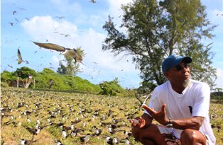 Bird island…a unique portrait of Seychelles’ natural beauty