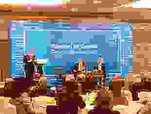 زعزوع وحكاية الفيل والعميان ..! بقلم اشرف الجداوى