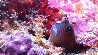 Tourism Minister Highlights Oman Tourism Strategy