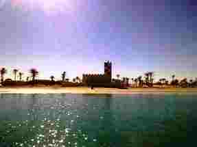 فى عشق فروة ... بقلم د. عصام الطابونى