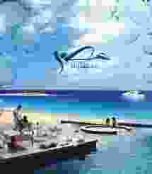 غمة زعزوع ... وحكماء الغبرة والمشهد السياحى.! بقلم اشرف الجداوى