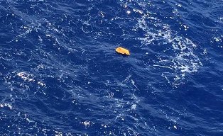 مجلس سلامة النقل الأمريكي يعلن استعداده بمساعدة التحقيق في حادث الطائرة المصرية