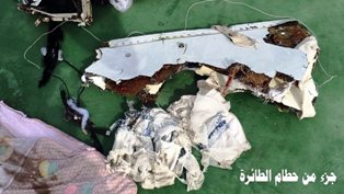 Investigation Progress Report (1) by the Egyptian Aircraft Accident Investigation Committee