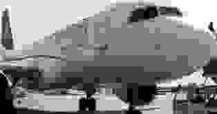 وزارة النقل في دمشق : إقاف طيران أجنحة الشام الخاصة لمدة شهر