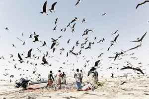 اماكن مميزة في سلطنة عمان لممارسة هواية الصيد