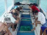 The METRO publication : A Seychelles holiday gives you sun, sea, beaches and the Carnaval International de Victoria!