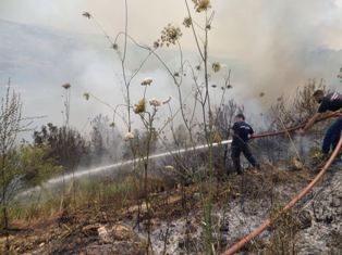 حريق هائل يتسبب فى وقف نشاط تلفريك و مغارة جعيتا