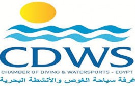 غرفة الغوص توضح حقيقة ضبط عصابة تجلب أسماك القرش الى مصر لضرب السياحة