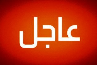 عقب انتشار شائعة اندلاع حريق بالطائرة قبيل سقوطها بالمتوسط لجنة التحقيق تنفى الشائعة