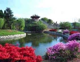 سياحة كوريا الجنوبية تسجل تراجع العام الحالى