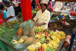 In love … with selling Seychelles! How British air hostess started an exclusive travel agency