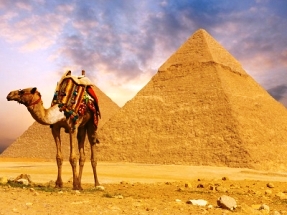 القيعى يعتذر عن رئاسة لجنة غرفة الفنادق المصرية ومجدي نجيب بديلا