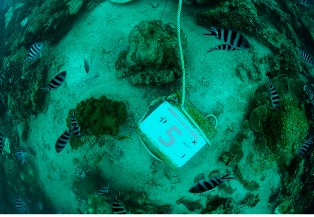 UNLOCK THE SEA - UNDERWATER DISCOVERIES UNVEILED AT LE MERIDIEN FISHERMAN’S COVE IN THE SEYCHELLES, ISLAND'S MINISTER ST.ANGE CONGRATULATES INITIATIVE