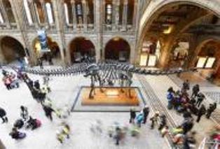 هياكل لديناصورات وعينات تحنيط نادرة معرضه للتلف بمتحف أوكسفورد بسبب الحرارة