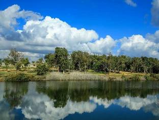 إشارات .. بقلم : د. عصام الطابوني