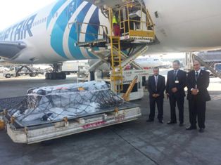 بالصور ..نقل جثمان الدكتور زويل من مطار جون كيندي على مصر للطيران الى القاهرة