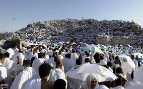الإسلامي للتنمية: ربط المسار الإلكتروني لحجاج الداخل بمشروع «الأضاحي» يرفع المبيعات 20 %