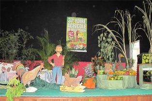 Seychelles lifts ban on fruit, vegetable imports from Reunion, offering new trade opportunities