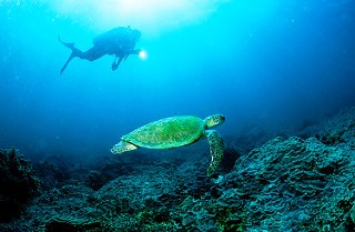 سياحة الرياضات المائية في جزيرة مصيرة بعمان  .. متعة وتحدي