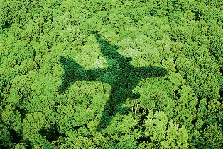 السياحة بين مطرقة السياسة و سندان الطيران بقلم د. عصام الطابوني