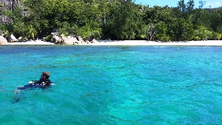 6 marine parks in Seychelles where sea life is a protected asset