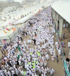 30 % تراجع الإقبال على حملات الحج