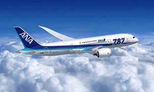 Japan's ANA grounds some Dreamliners