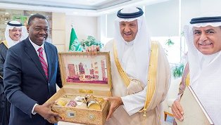 الامير سلطان يلتقي رئيس مجلس منظمة الطيران المدني الدولي