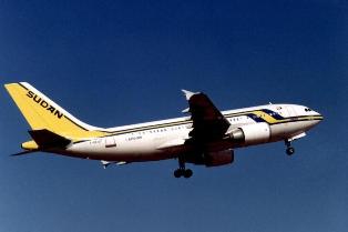 نجاة طائرة ركاب سودانية بعد اصطدامها بنسر