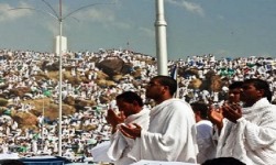 نحو 3 مليون وجبة تقدمها هدية الحاج والمعتمر في المدينة ومكة والمشاعر المقدسة