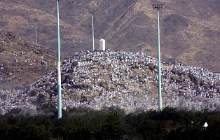 البداد العالمية تدشن أكبر مخيم مثالي للحجاج على جبل عرفة