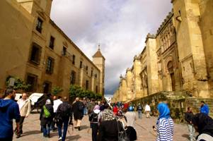 UNWTO : International tourist arrivals up 4% in the first half of 2016