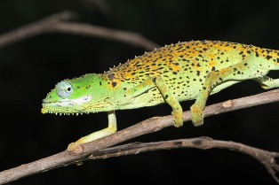 American Natural History Museum to offer patrons expedition-style tour to Seychelles in 2017