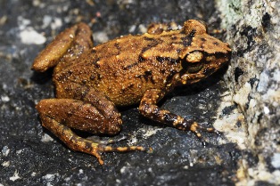 American Natural History Museum to offer patrons expedition-style tour to Seychelles in 2017