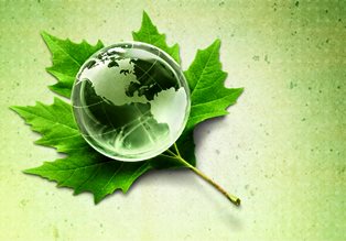 Airlines Hail Historic ICAO Carbon Agreement