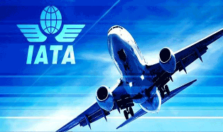 IATA Forecasts Passenger Demand to Double Over 20 Years