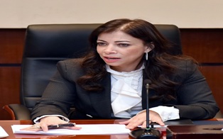 داليا خورشيد : إنتهينا من وضع مسودة قانون جديد للاستثمار