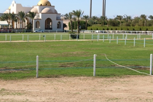 بالصور منتجع سهل حشيش يستعد للبطولة الدولية للفروسية