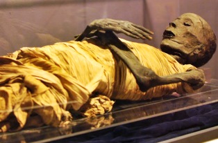 مؤتمر حول استخدام المومياوات فى ثقافة اعادة صياغة التاريخ بالاعلى للثقافة