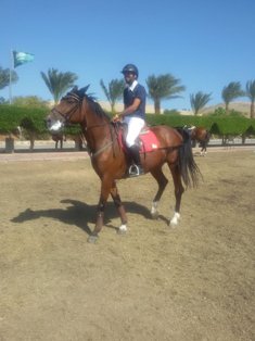 بالصور.. ختام البطولة الدولية للفروسية بمنتجع سهل حشيش