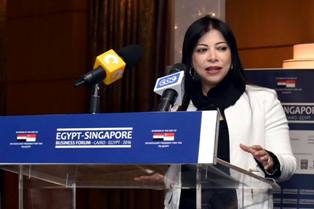 داليا خورشيد : الحكومة المصرية عازمة على جذب الإستثمارات الخارجية