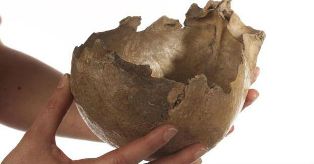 اكتشاف آثار تؤكد وجود آكلي البشر في عصور ما قبل التاريخ