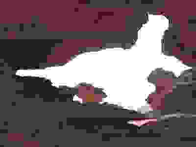 جبال الأكاكوس تحف فنية من صنع الله