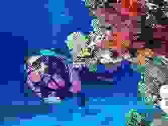 جرانه يوافق على اغلاق مراكز الغوص التى لم تتطبق معايير الجودة السياحية