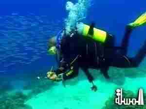 بسبب توقف الدعم الوزارى ..الاستغناء عن 39 موظفًا بغرفة سياحة الغوص المصرية