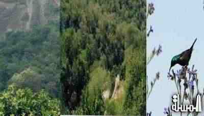 اليونسكو تتضم محمية