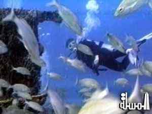 500 ألف جنيه رسوم الإنضمام لغرفة الغوص