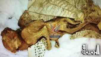 العثور على رقوق قرآنية وحيوان محنط بسقف الجامع الكبير بصنعاء