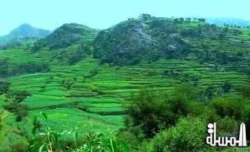 عتمة سحر الطبيعه وتاج المحميات